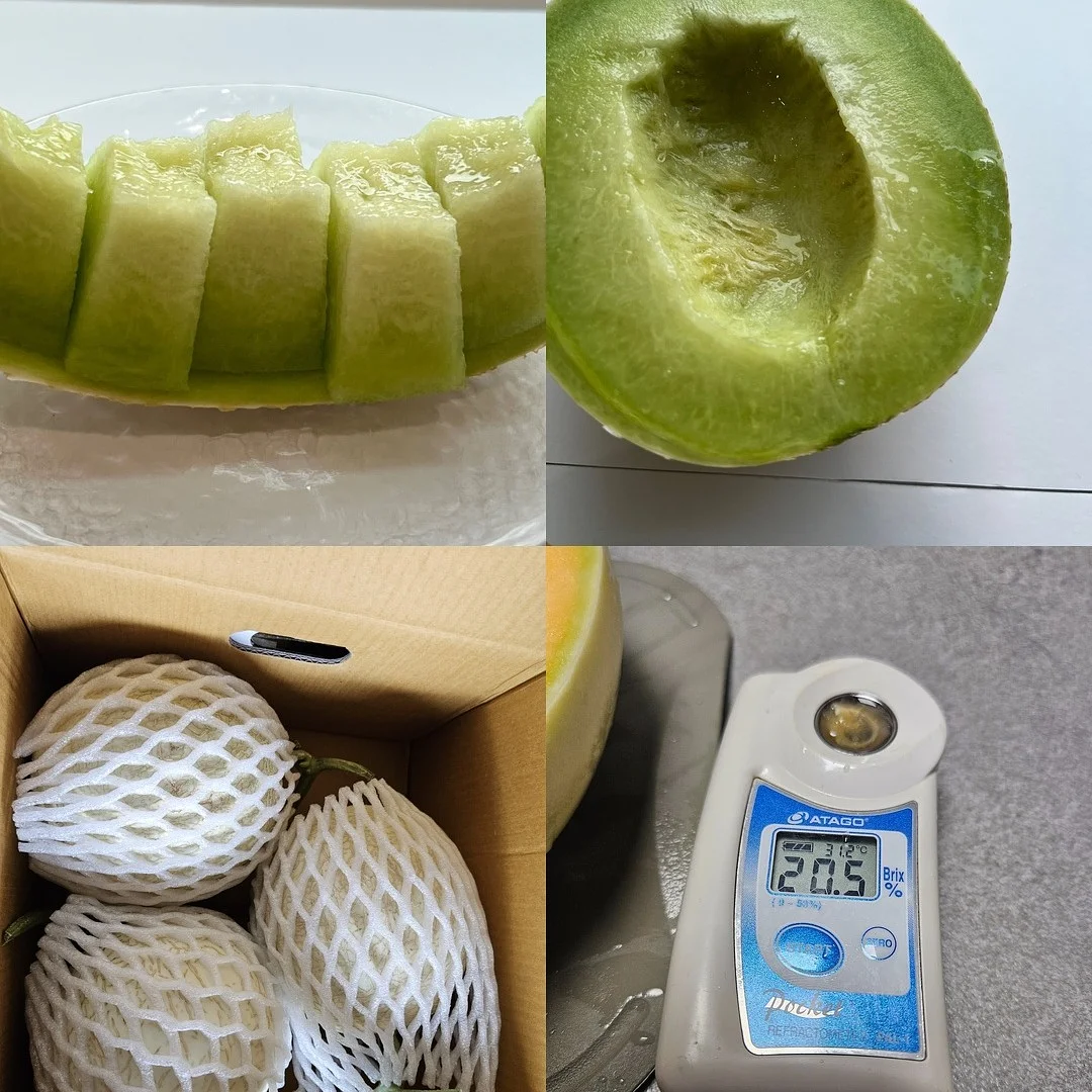 물고기반지 2