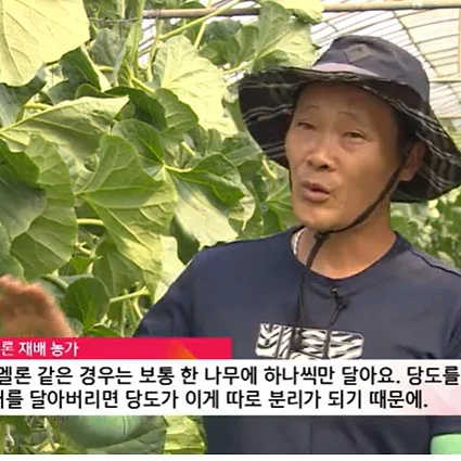 물고기반지 4