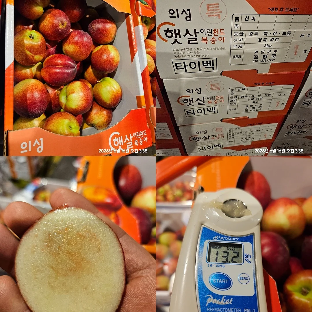 물고기반지 8