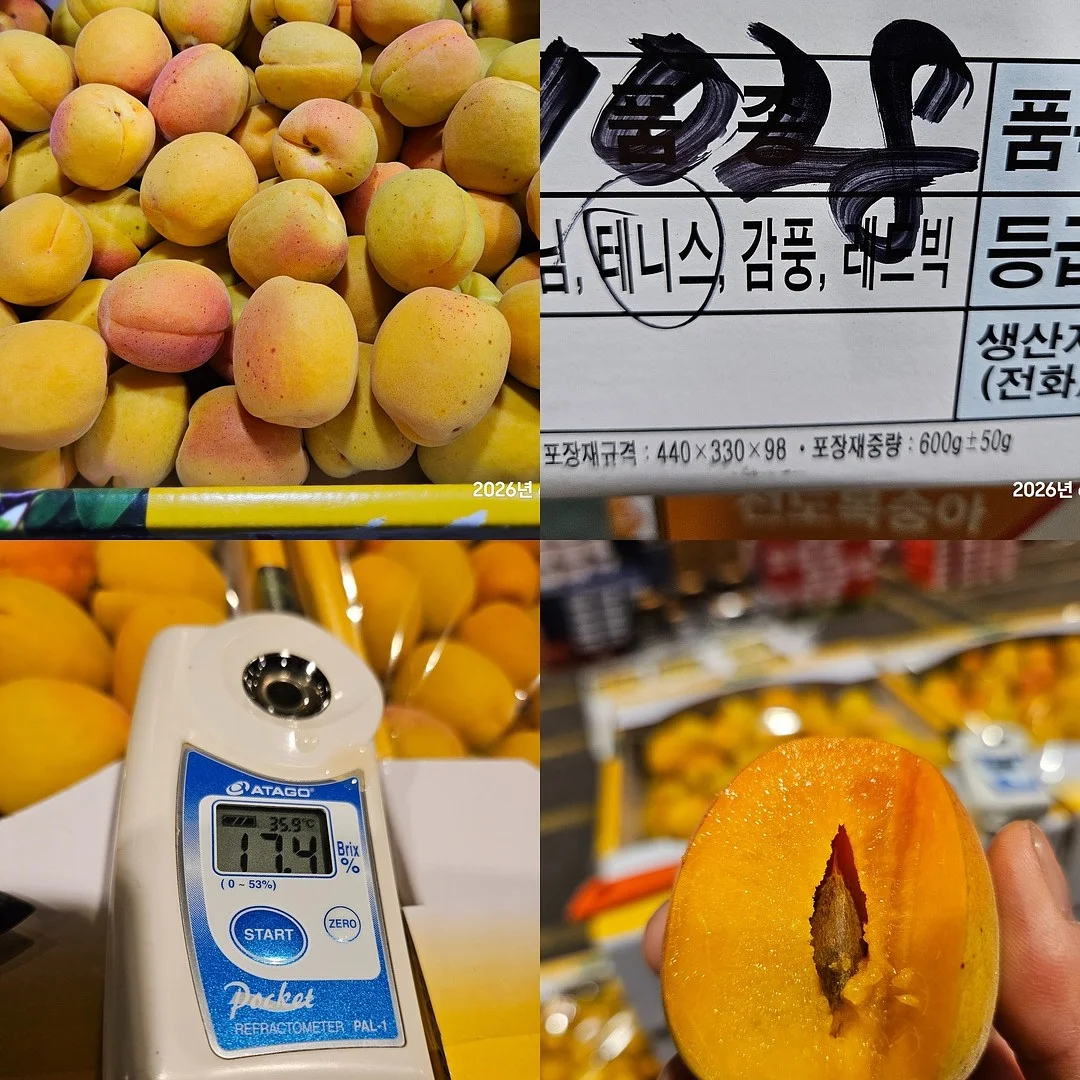 물고기반지 9