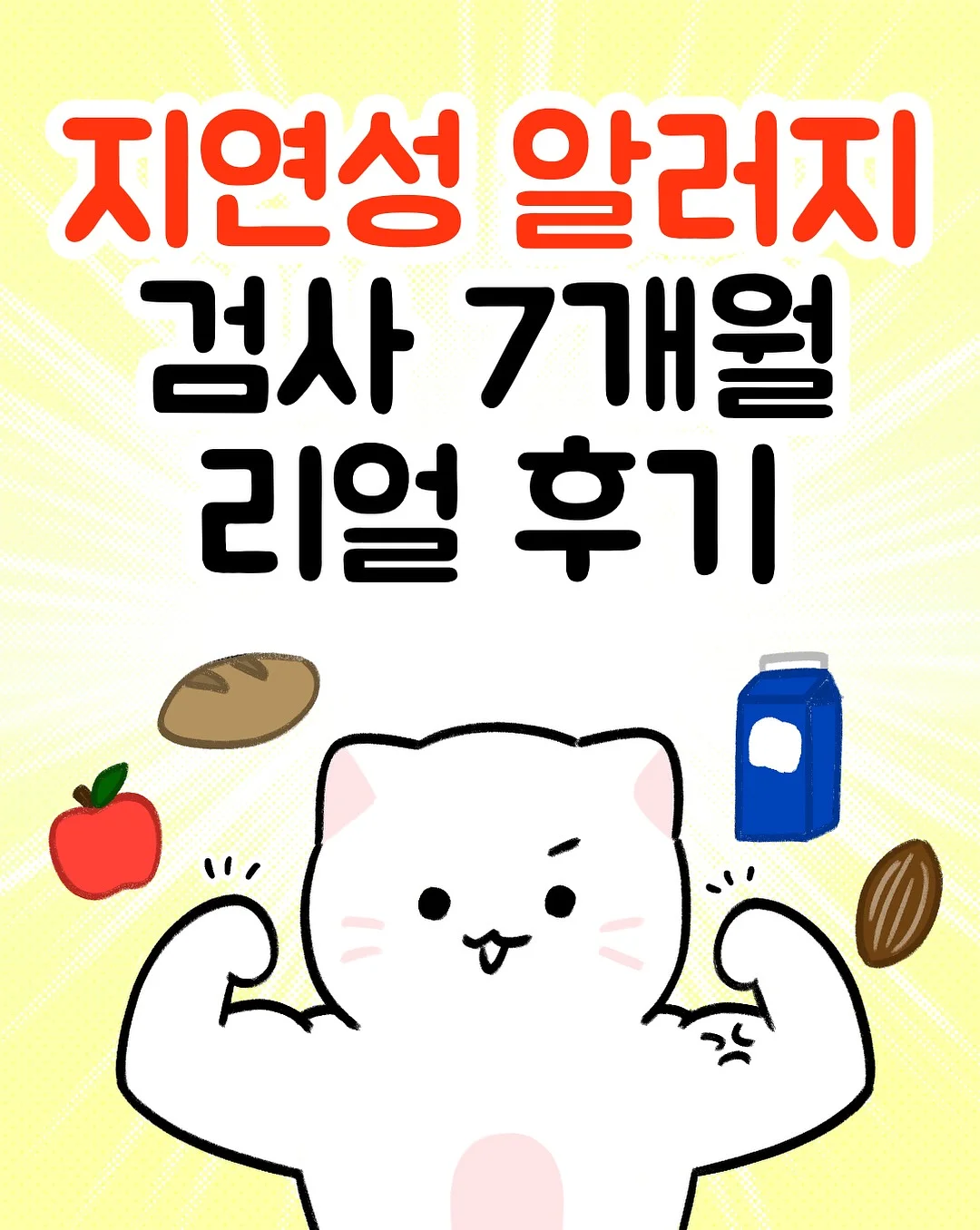 다이소 정리템 1