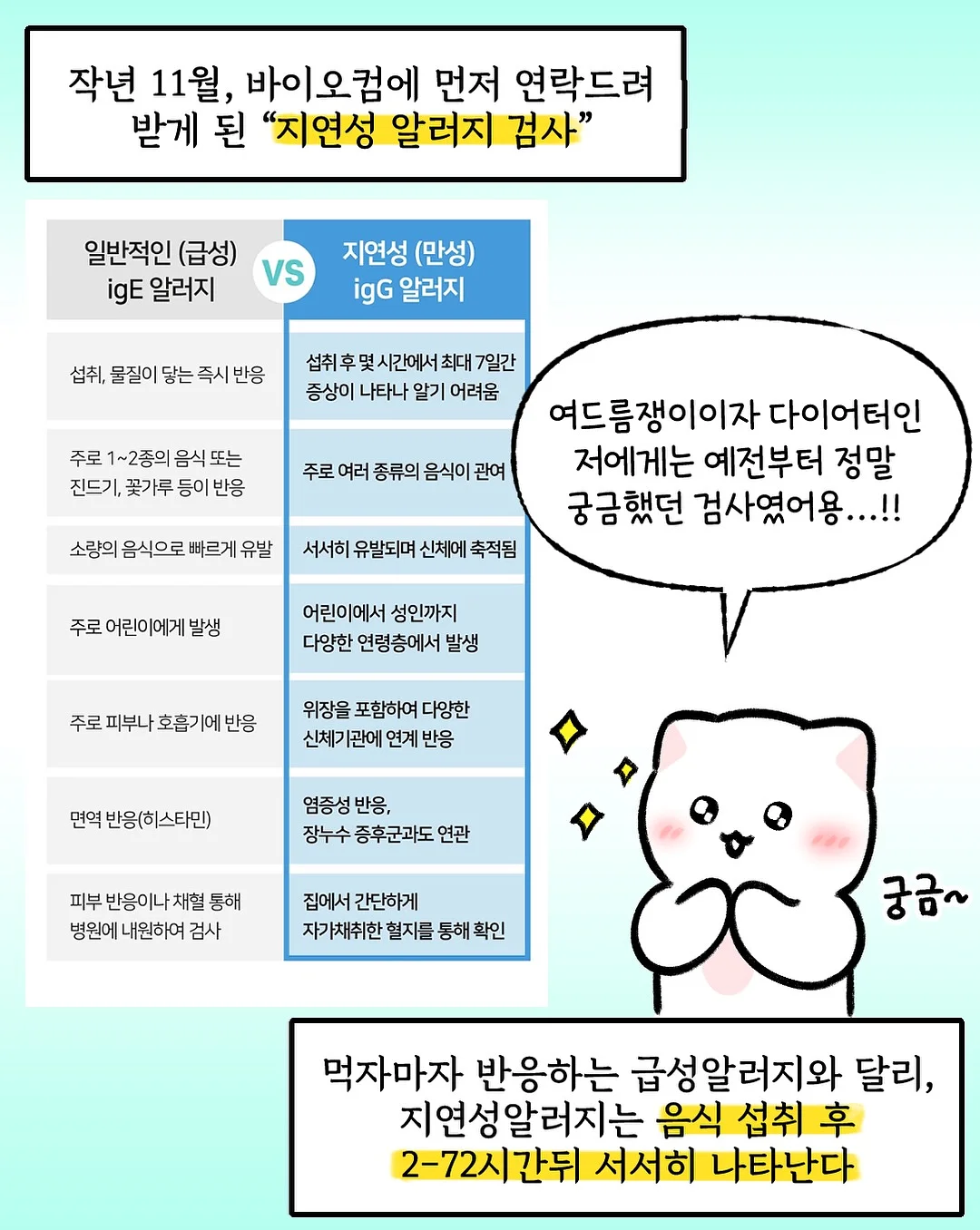 다이소 정리템 2