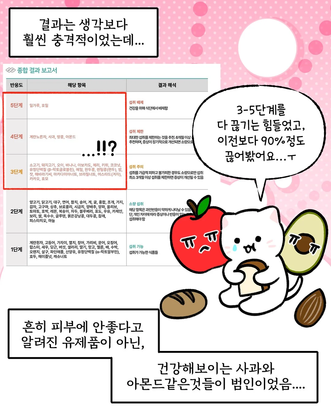 다이소 정리템 3