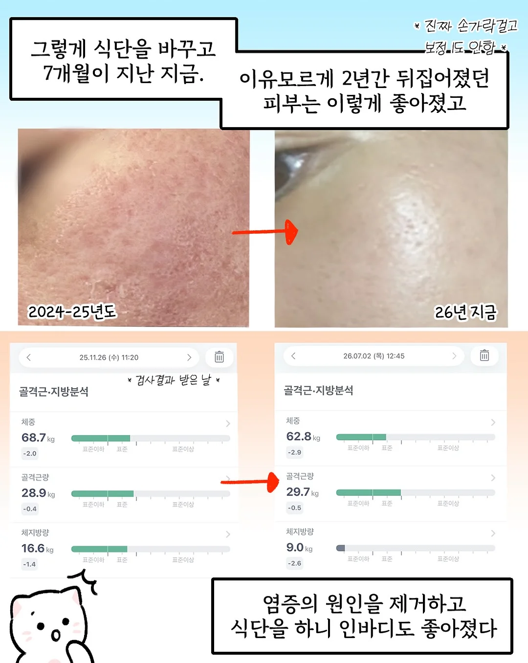 다이소 정리템 5