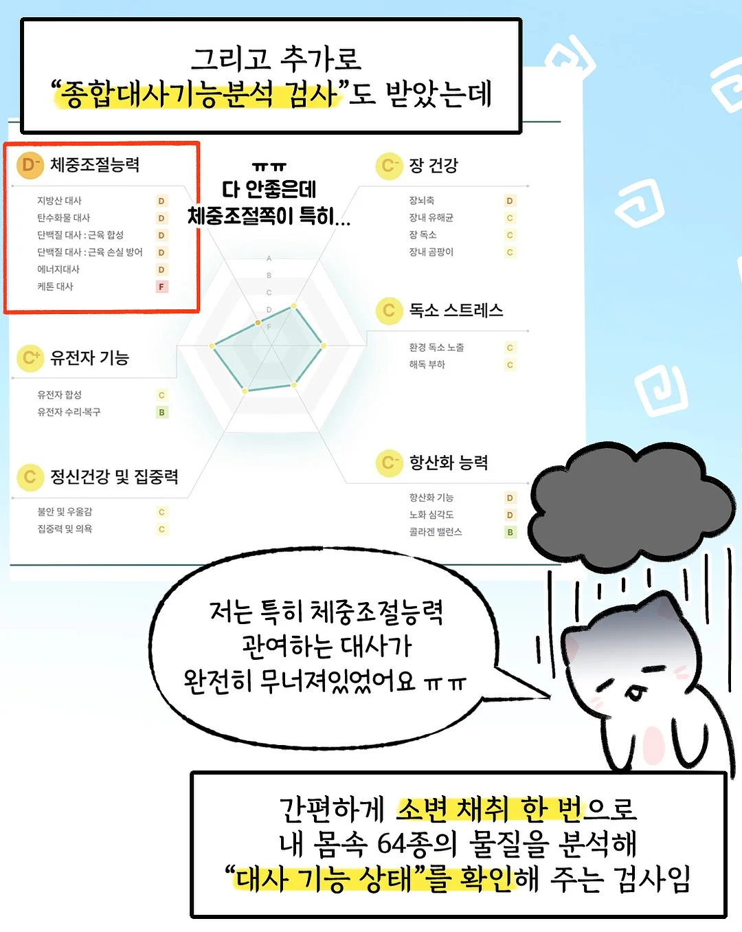 다이소 정리템 6