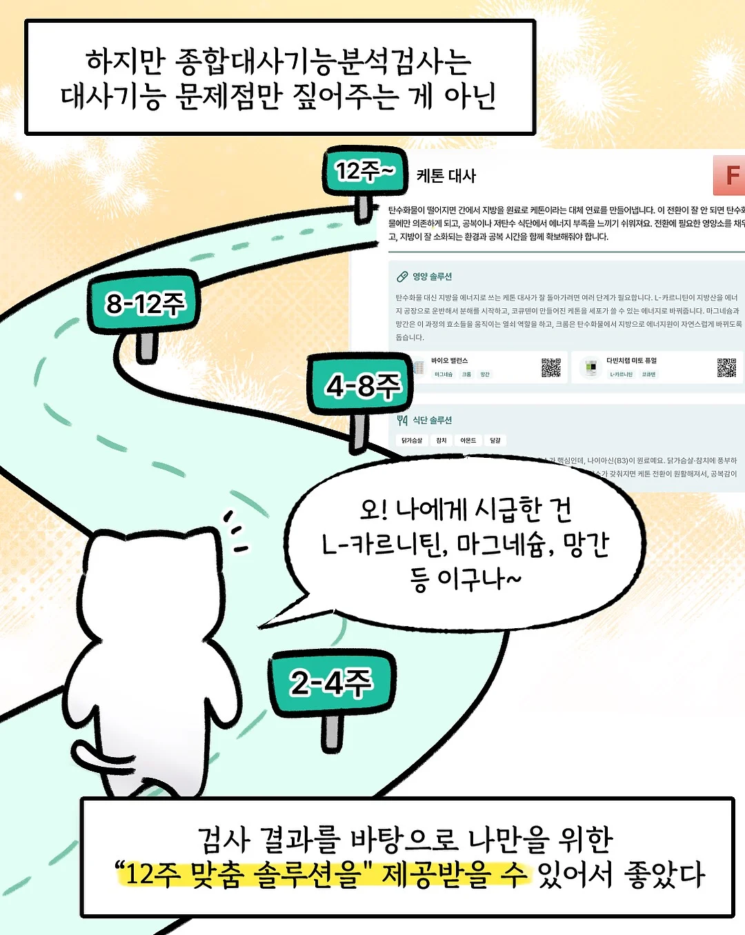 다이소 정리템 7