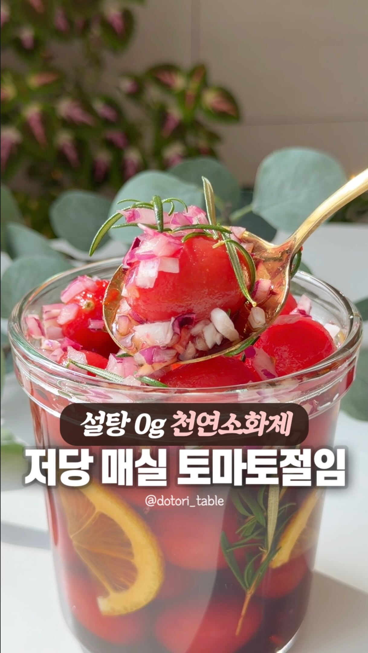 고양이 방석