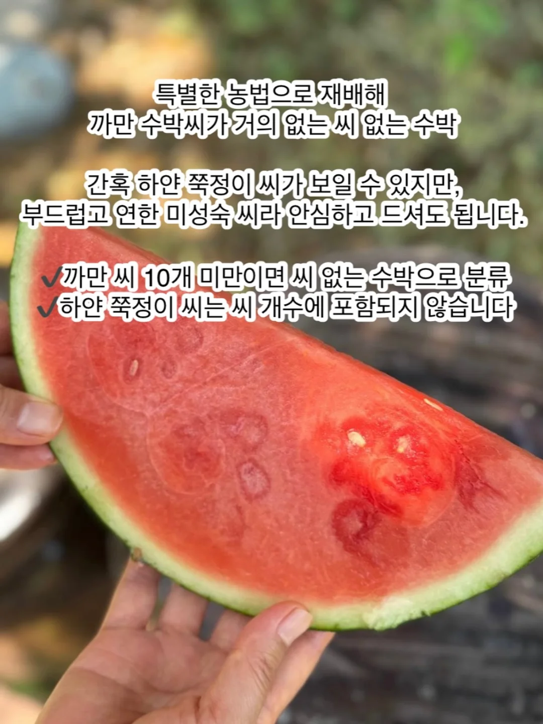 자석 샤워기 거치대 3