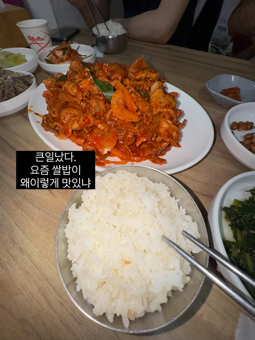 코지앤픽 롤링 쇼핑캐리어 2