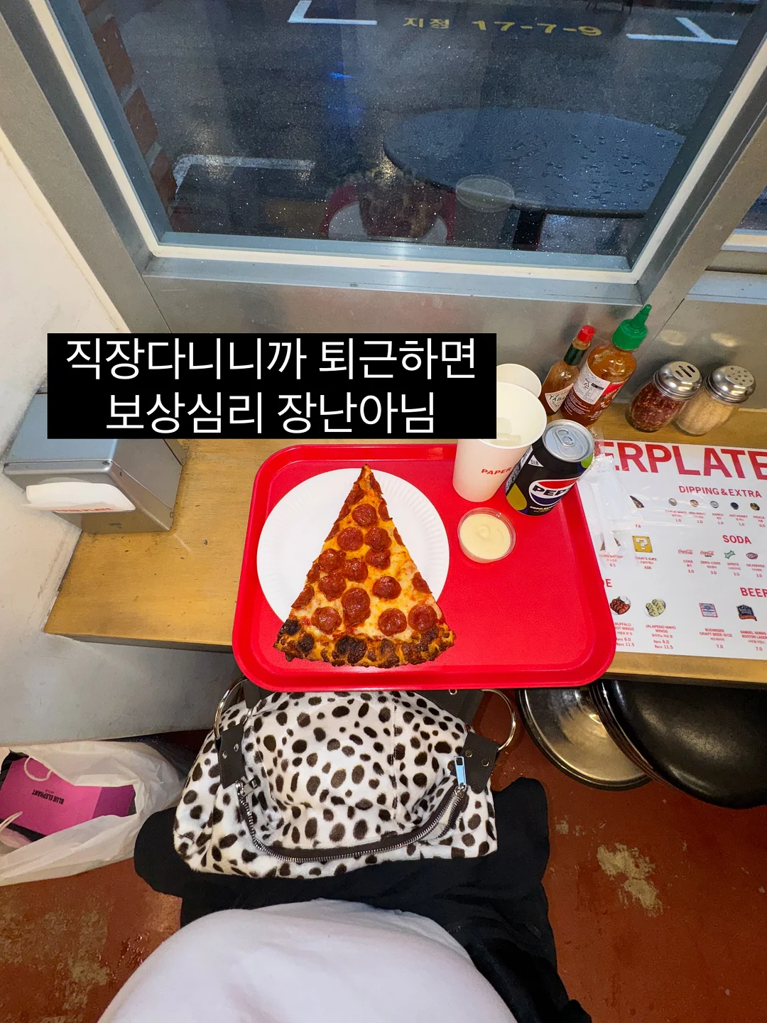 코지앤픽 롤링 쇼핑캐리어 6