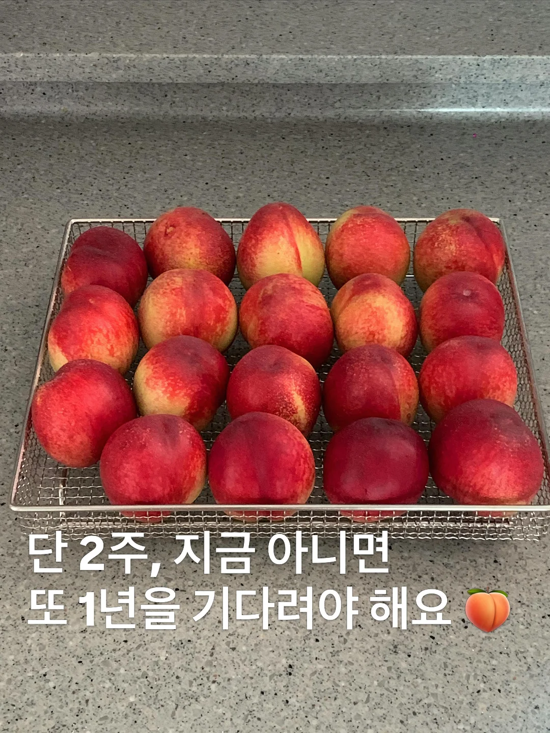 프린세스티니핑 샤인 펜파우치 1