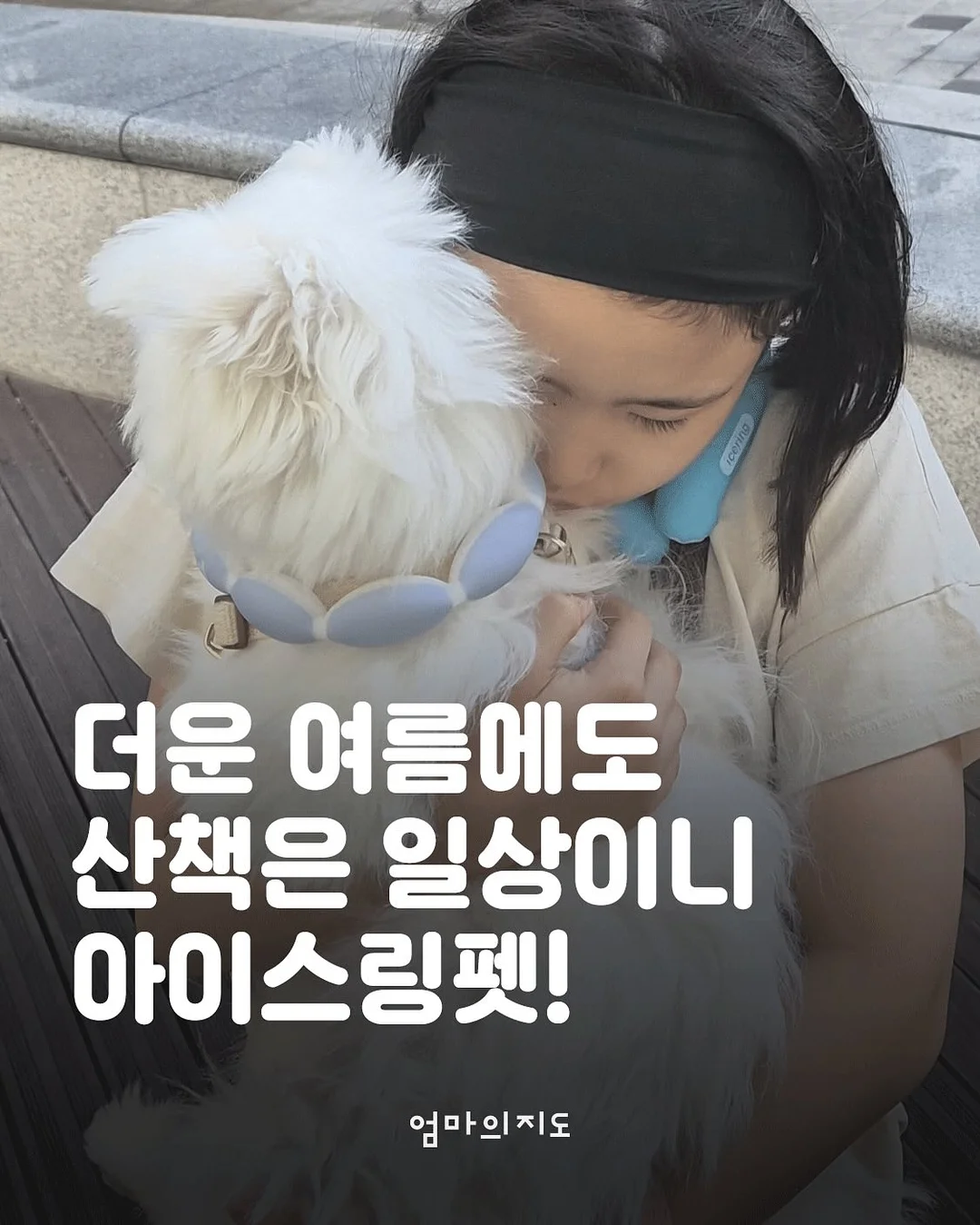 냉동 육회 1