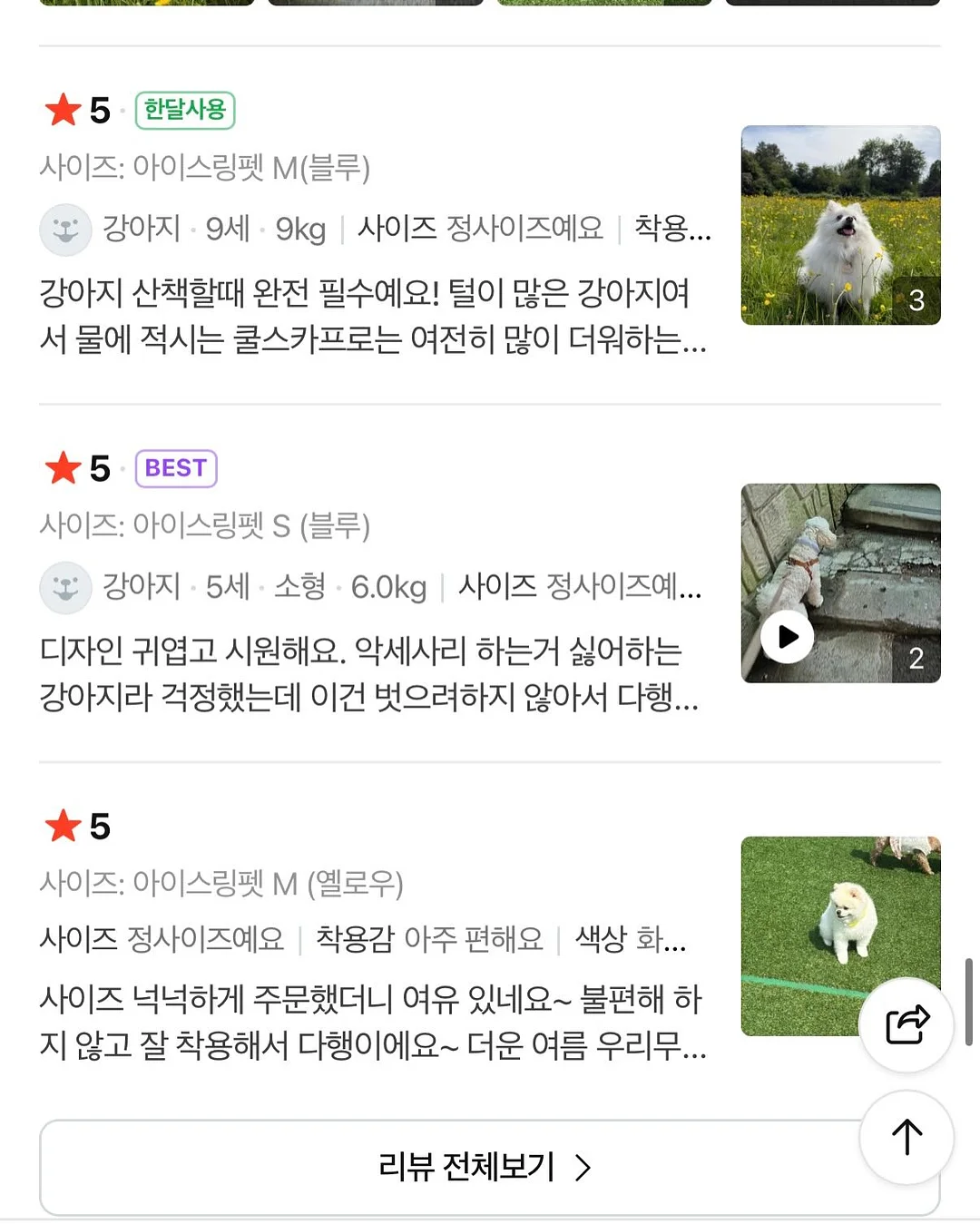 냉동 육회 4