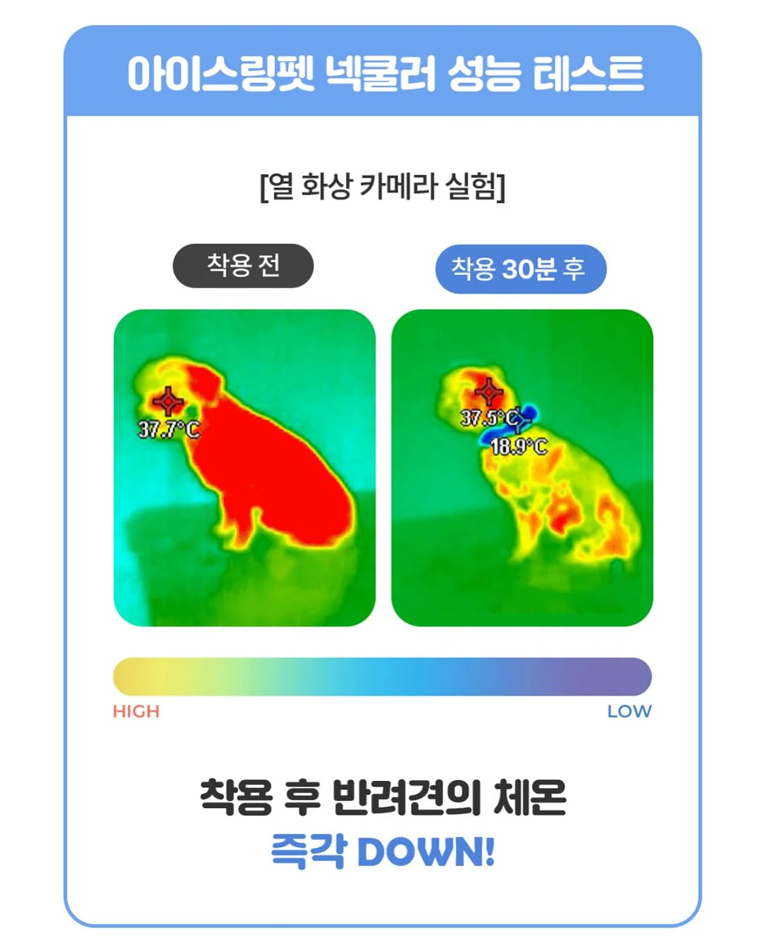 냉동 육회 5