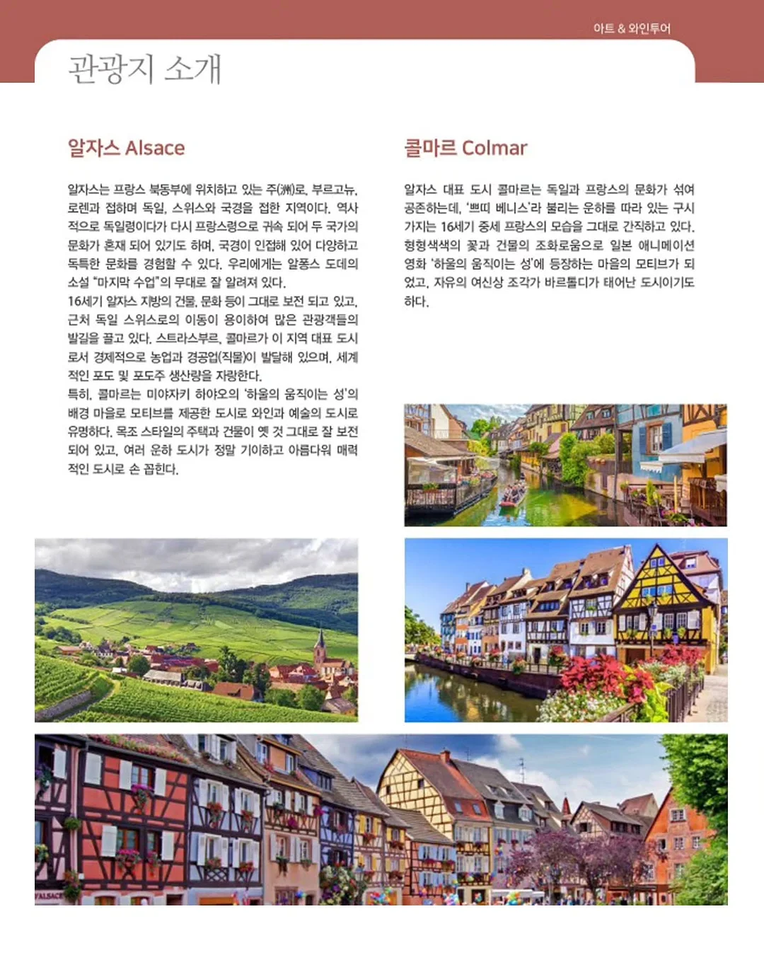 셰프애찬 오이부추김치 7