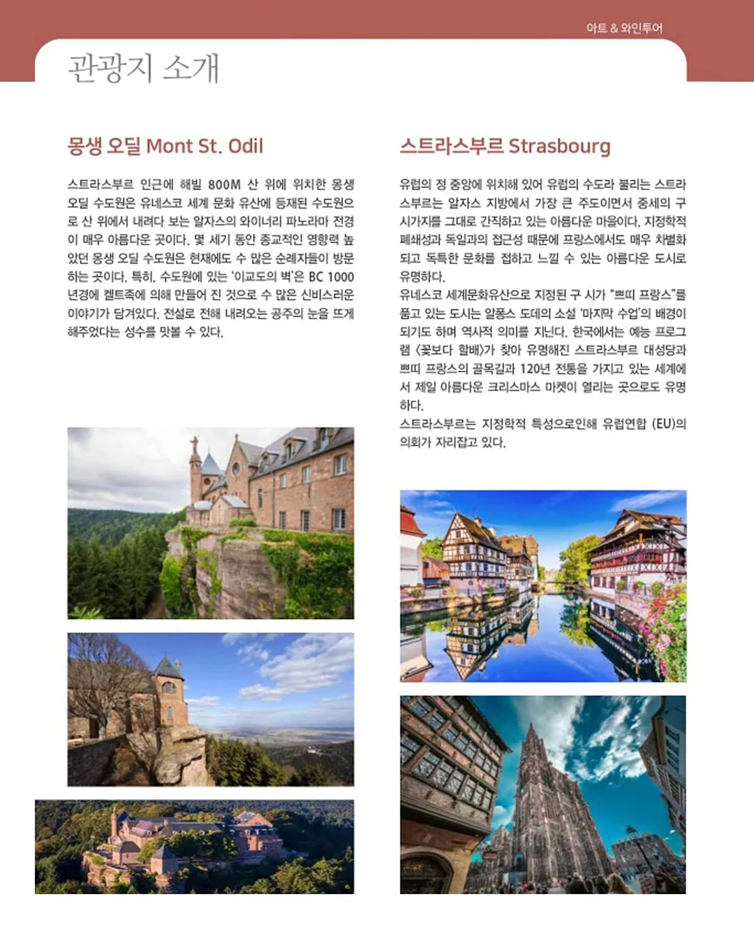 셰프애찬 오이부추김치 9