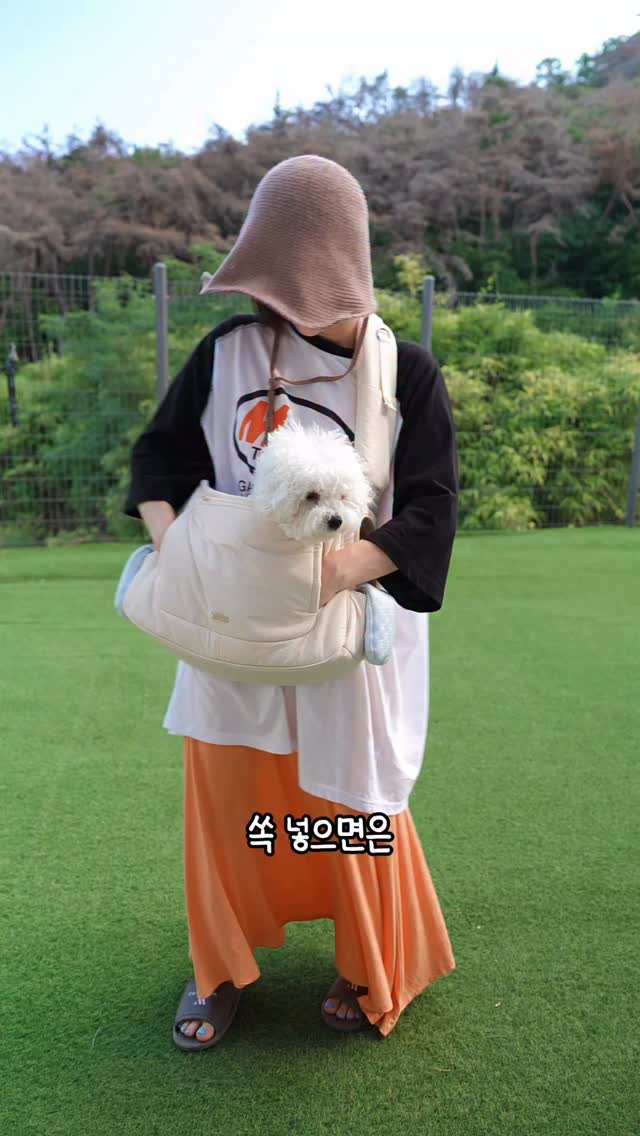 카멜레온 수업