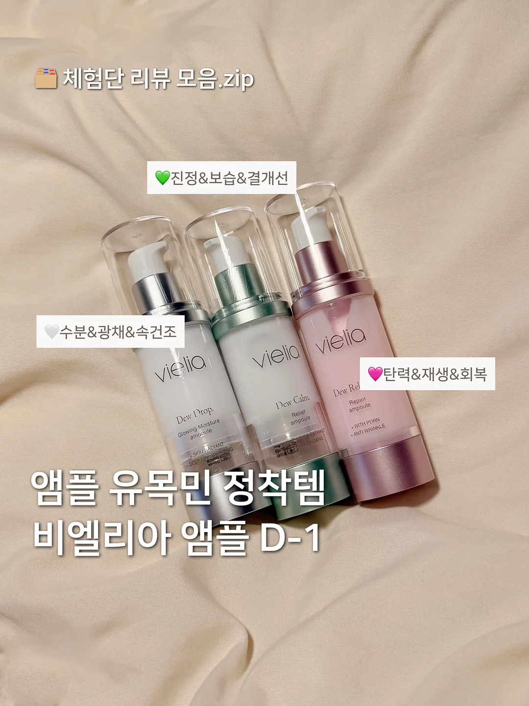 강아지T+앙고쇼츠 세트 1