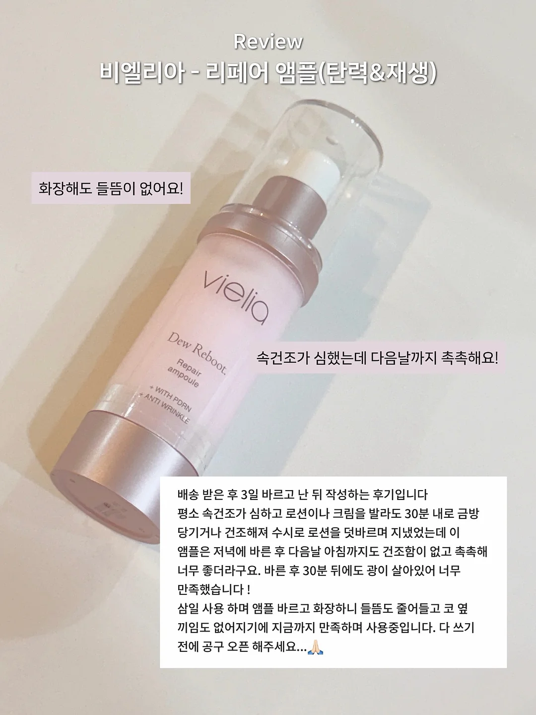 강아지T+앙고쇼츠 세트 4