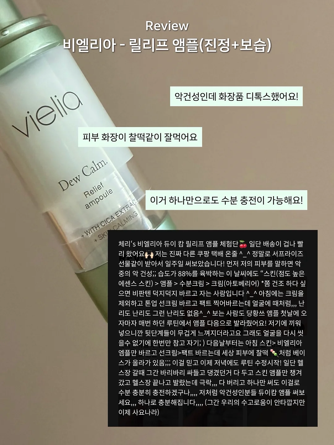 강아지T+앙고쇼츠 세트 6