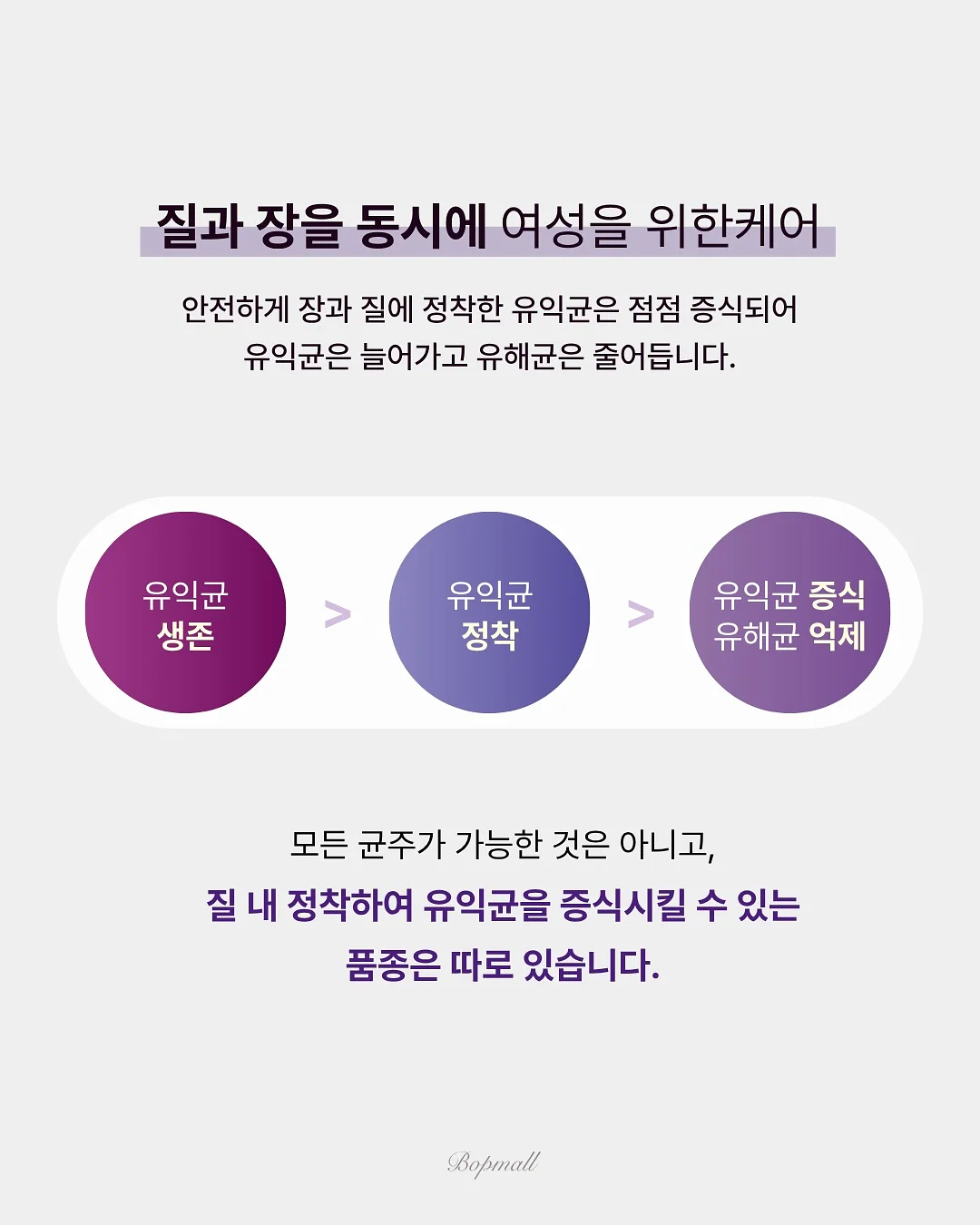 템바보드 19