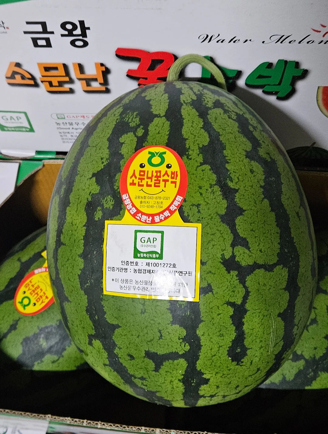 슈퍼젝션