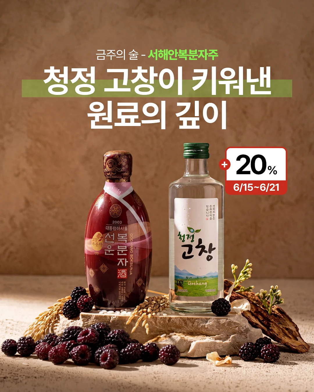 베츠초이스 하이포알러제닉 피부모질 플러스 사료