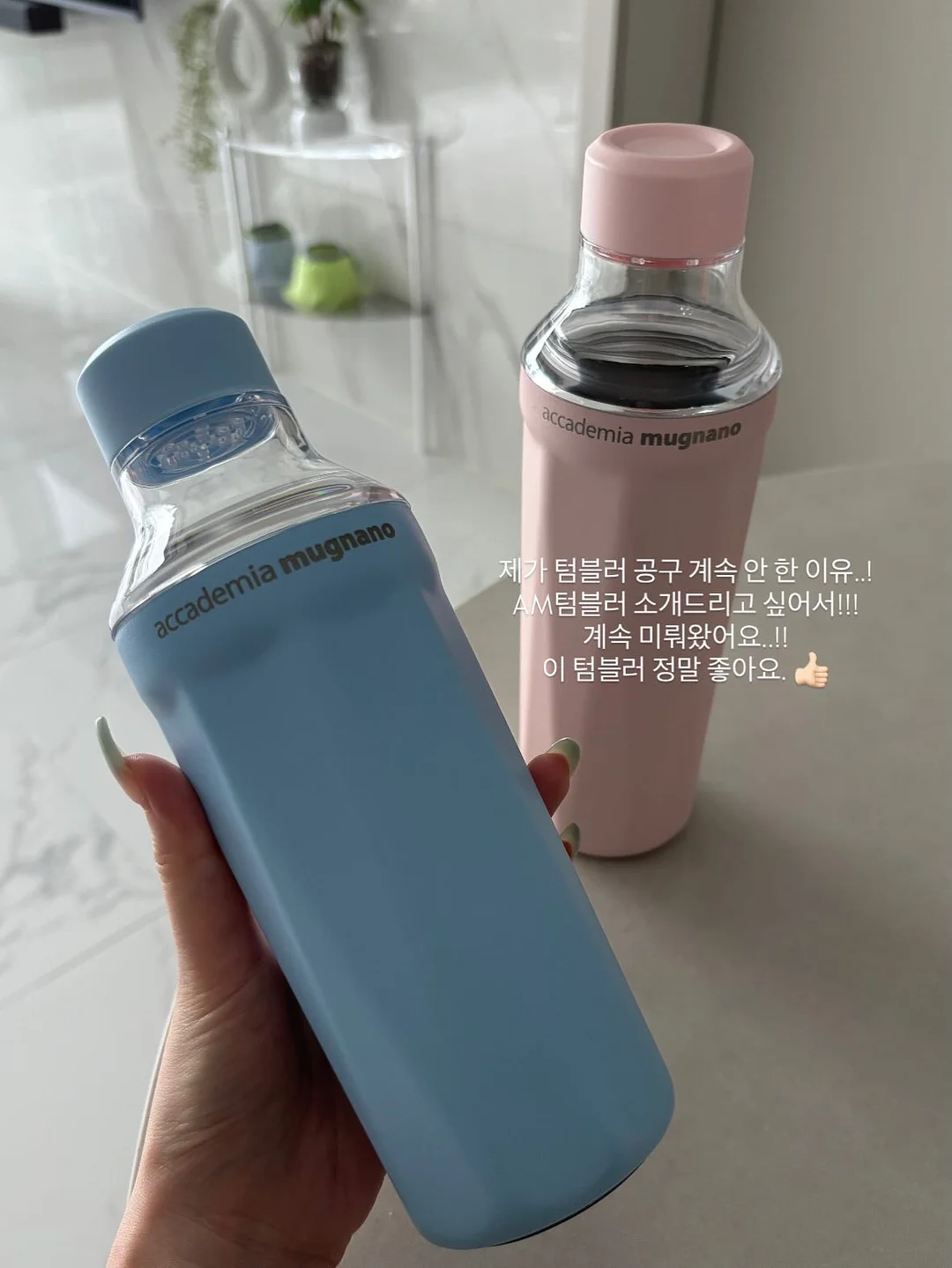 롬복 시홀스베이 스페셜 트립 2