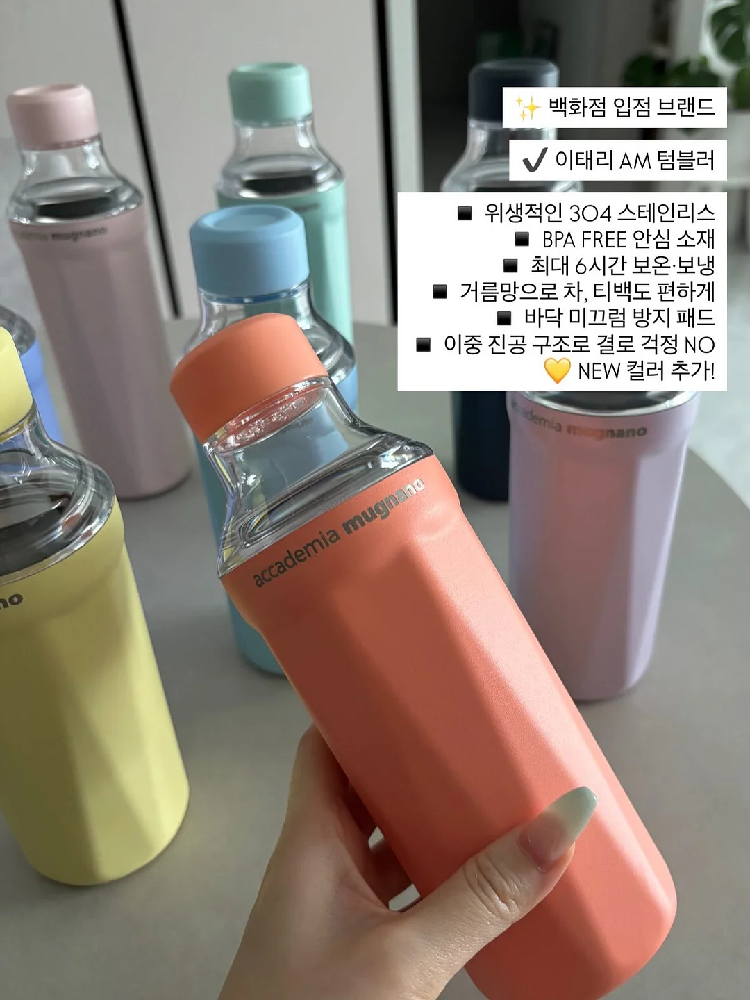 롬복 시홀스베이 스페셜 트립 3