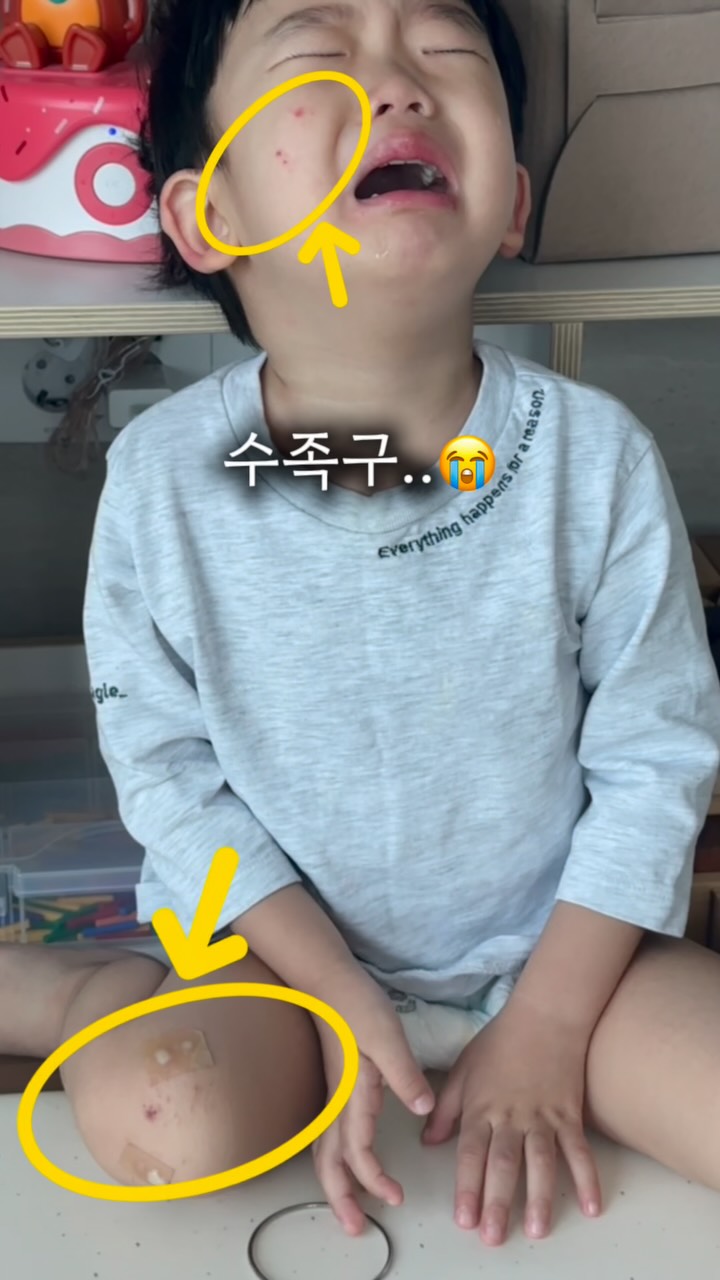 벡터 무릎보호대