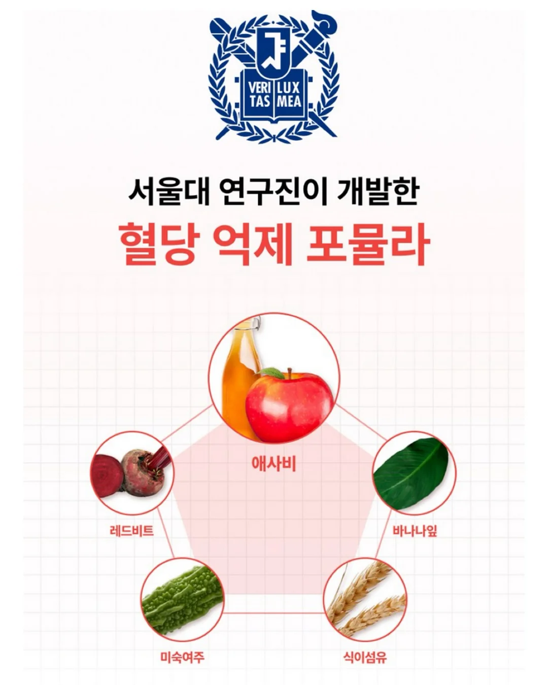 실리콘 와이퍼 11