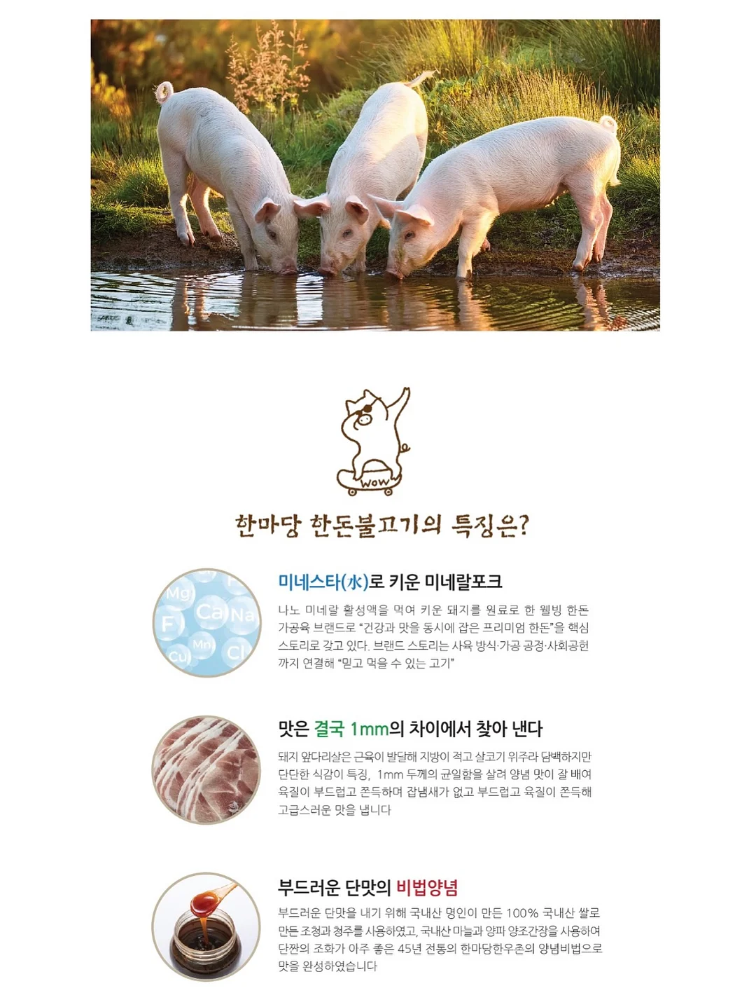 실크펩타이드 녹는실 앰플 6