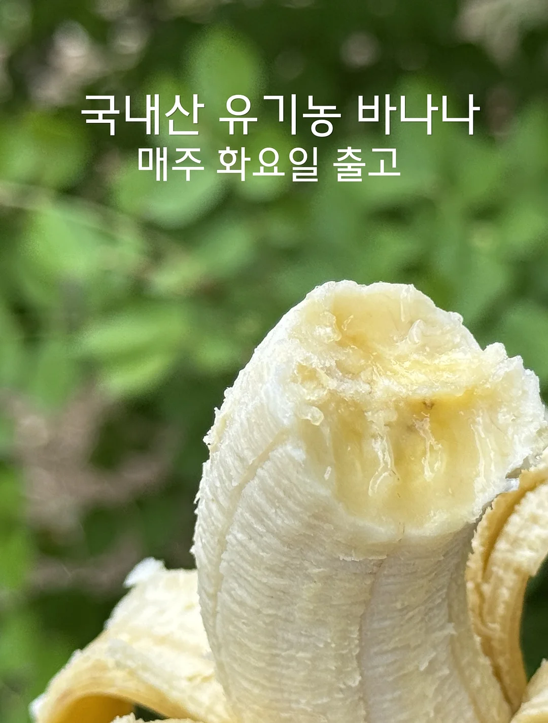 고디바X라부부 마스터피스 초콜릿 1