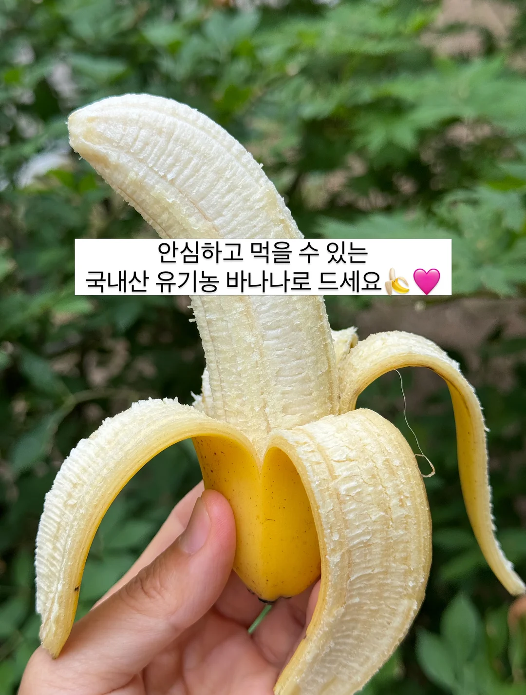고디바X라부부 마스터피스 초콜릿 11