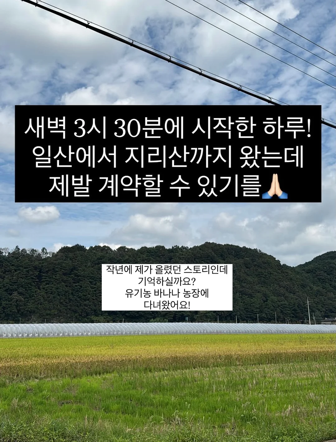 고디바X라부부 마스터피스 초콜릿 2