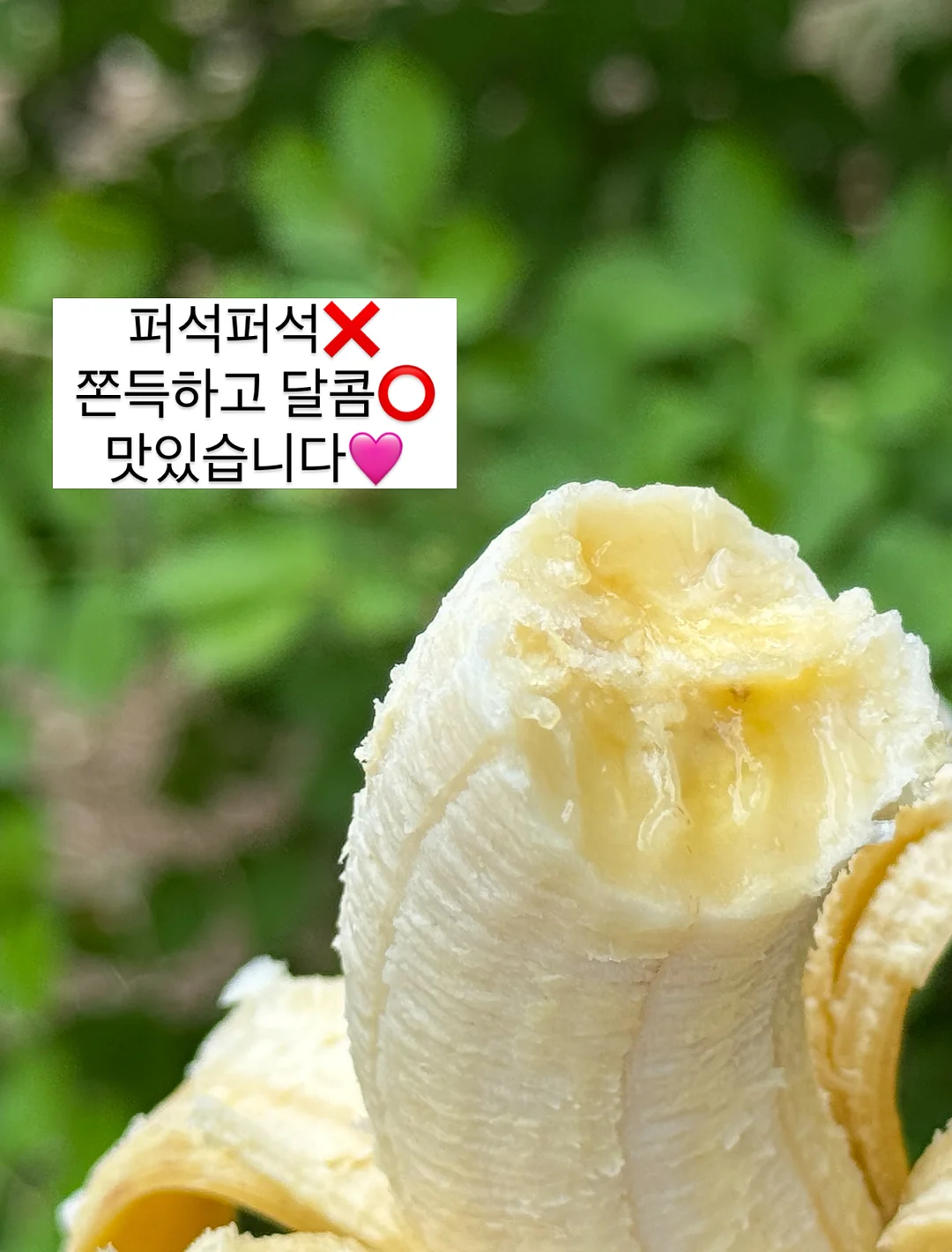 고디바X라부부 마스터피스 초콜릿 7