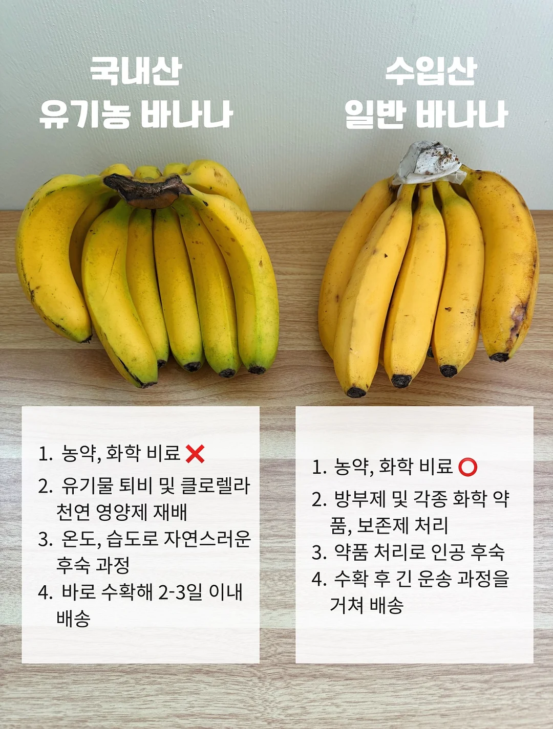 고디바X라부부 마스터피스 초콜릿 10