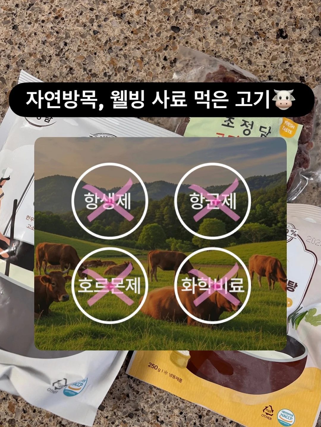 카카오이모티콘 쮸티 8