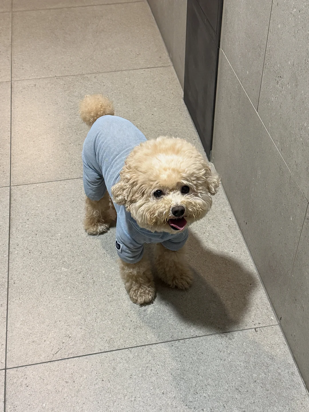 이유식 치트키 3