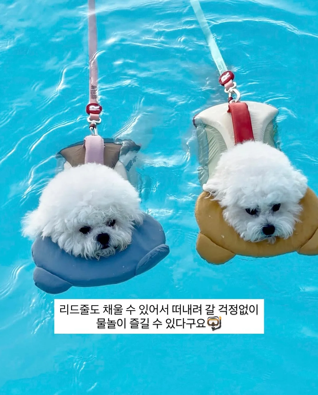리얼베리어 세라마이드 수분장벽 선크림 6