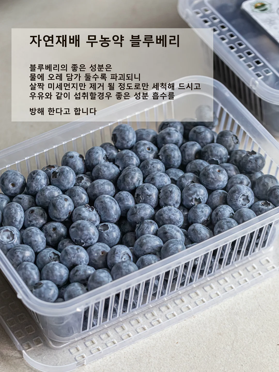 딴짓 방지 차단막 4