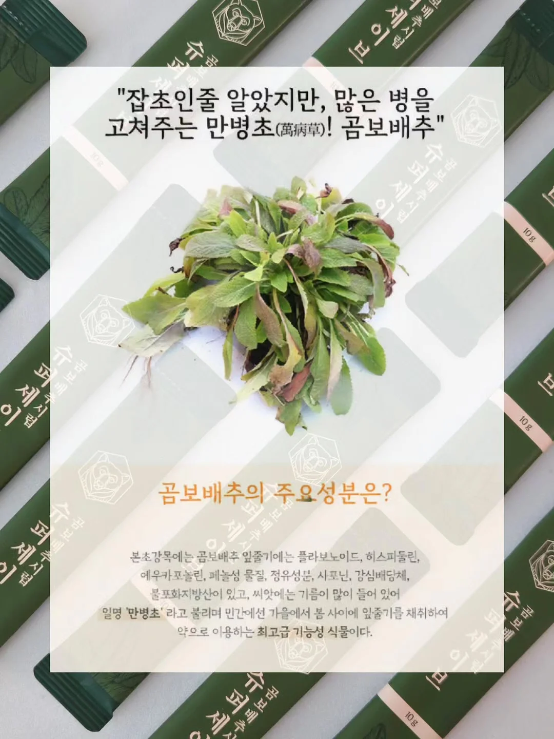아일렛 하프 팬츠 9
