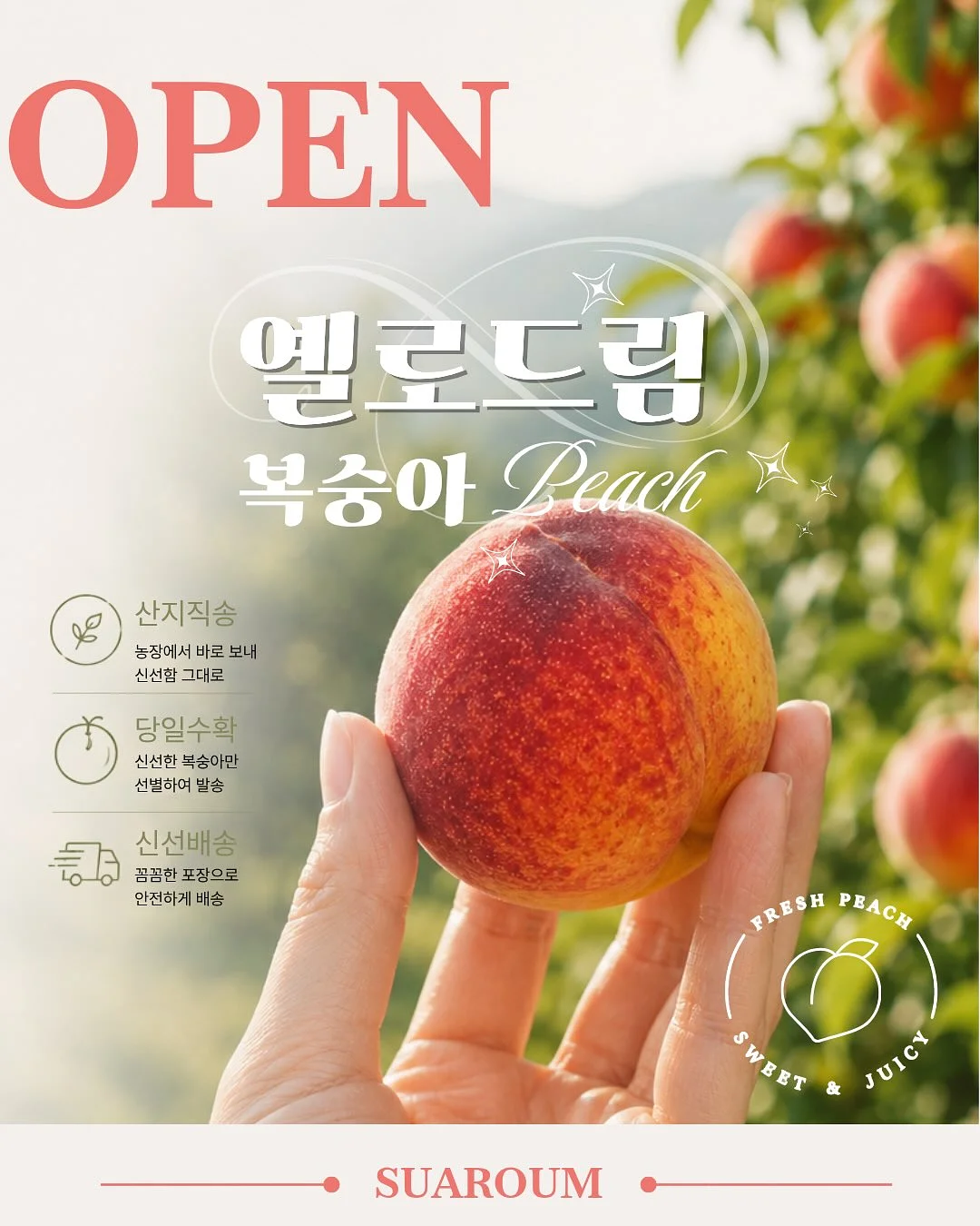PDRN 토너, 식물성 캐비어 앰플, 수분 크림 1