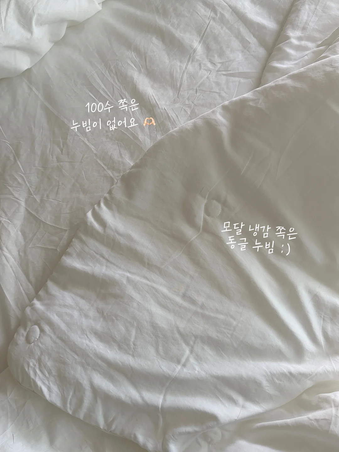 대극천 복숭아 2