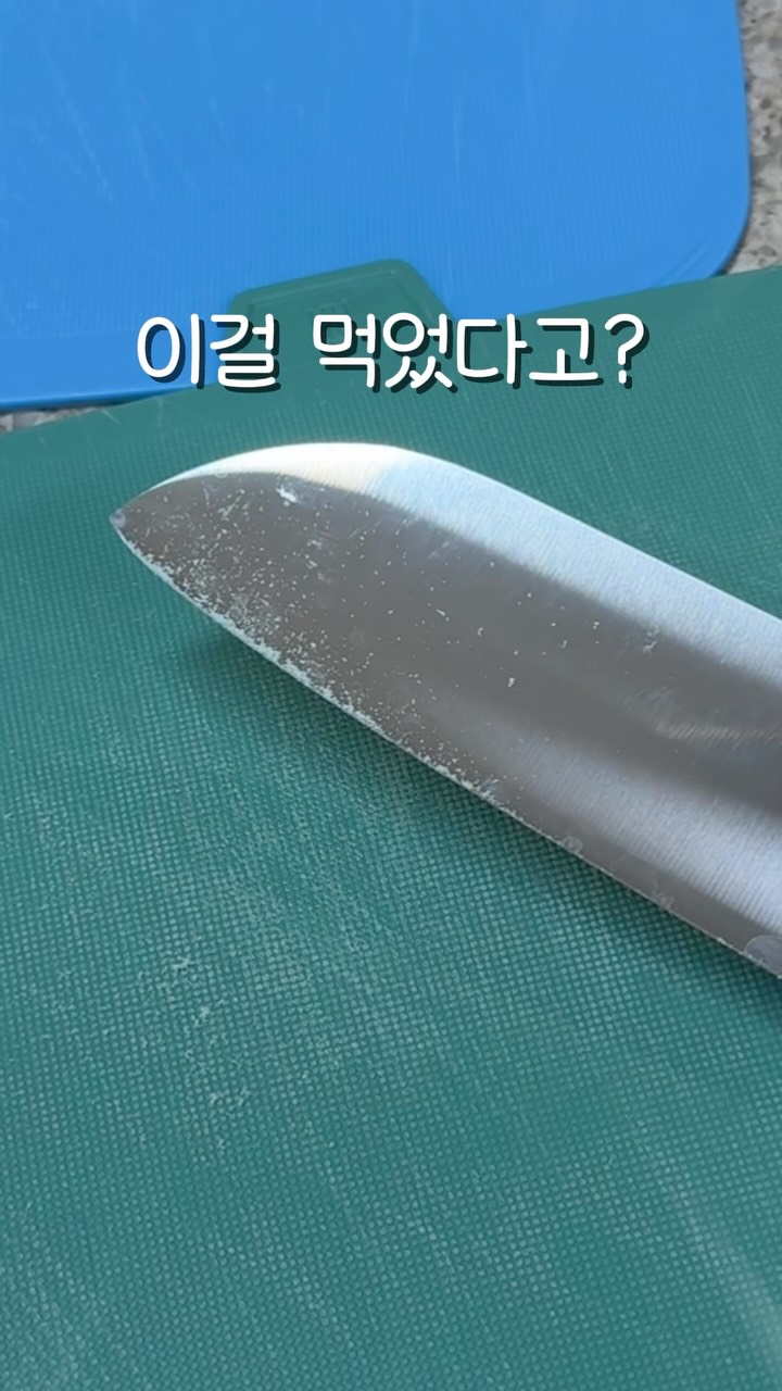 아기 스폰지밥 피규어
