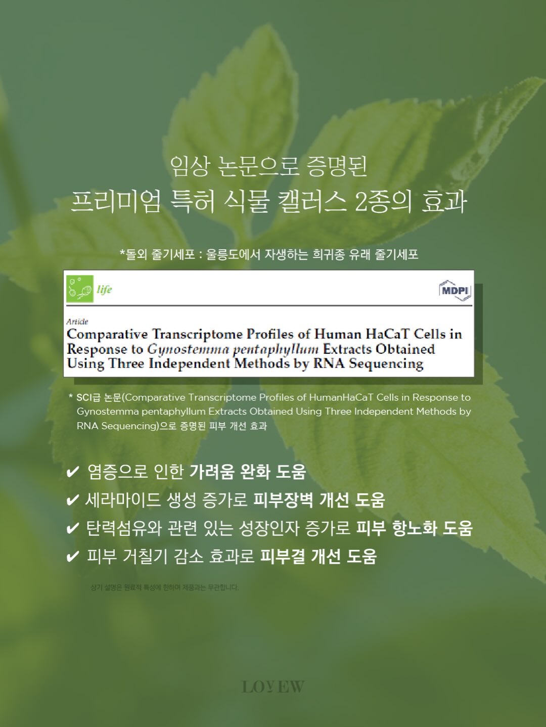 세멘팔트 팩 11