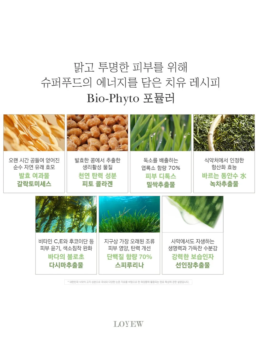 오리 키링 12