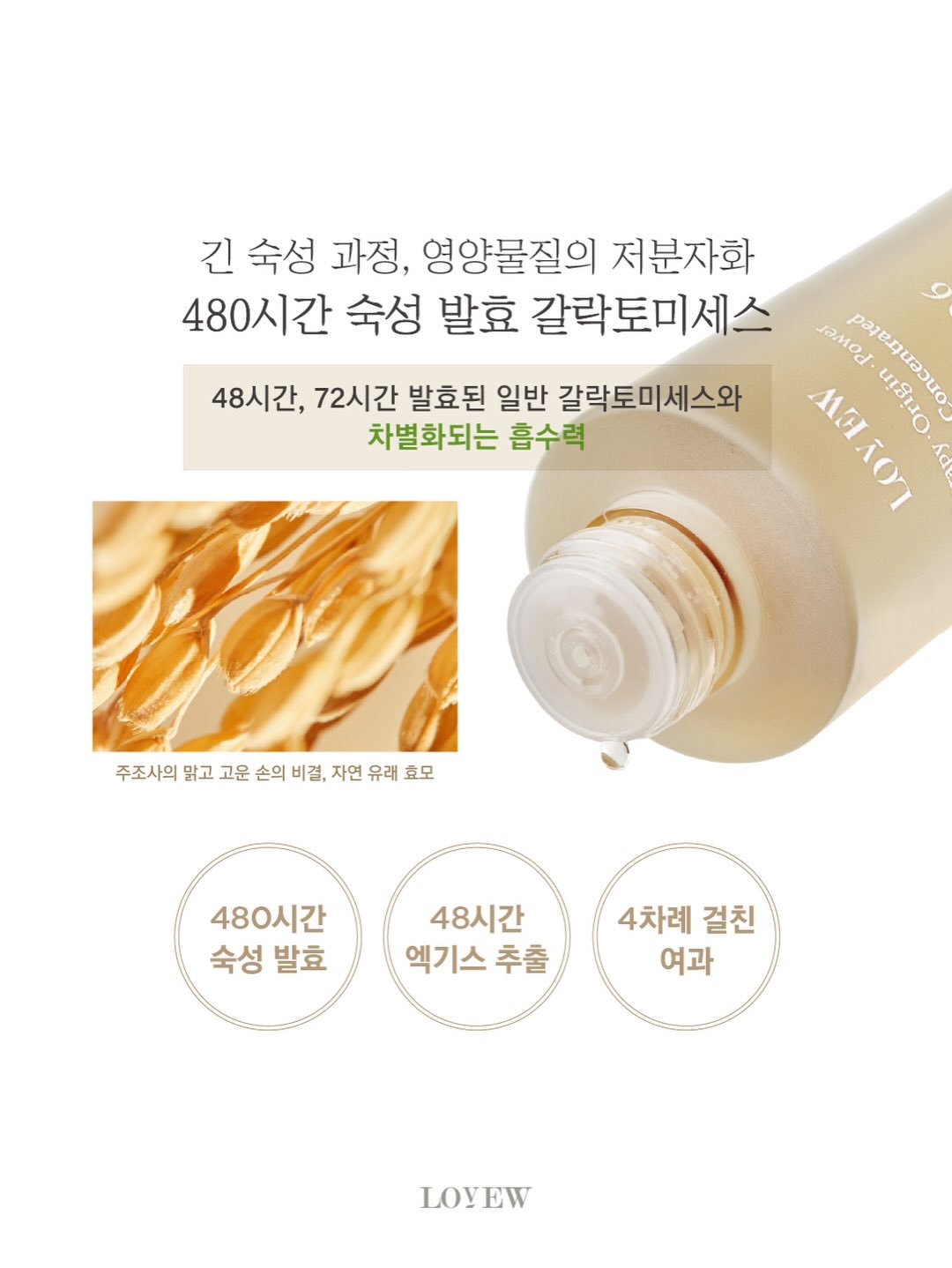 세멘팔트 팩 13