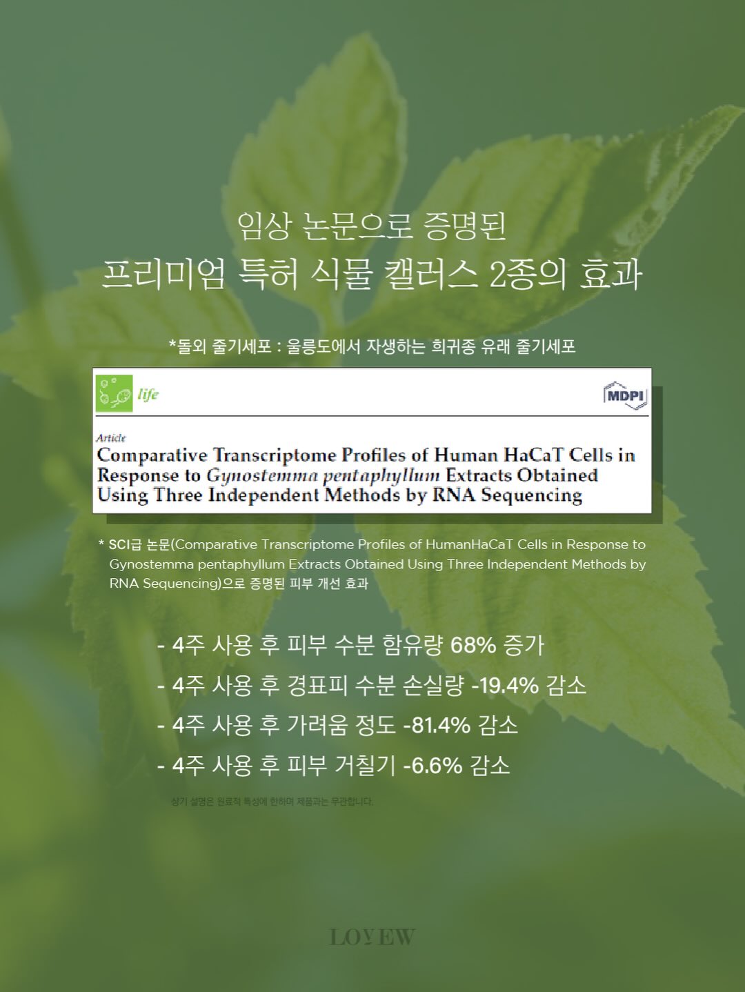 세멘팔트 팩 3