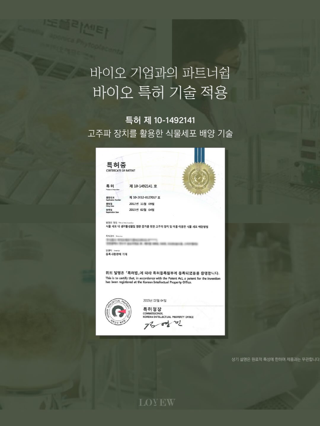 세멘팔트 팩 5